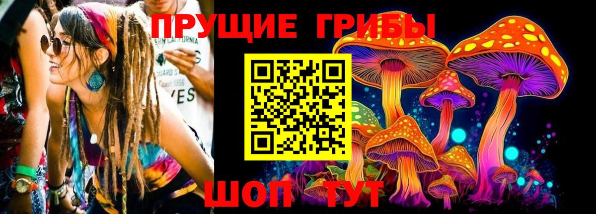 Жигулёвск  Галлюциногенные грибы GOLDEN TEACHER  Вход с VPN 
